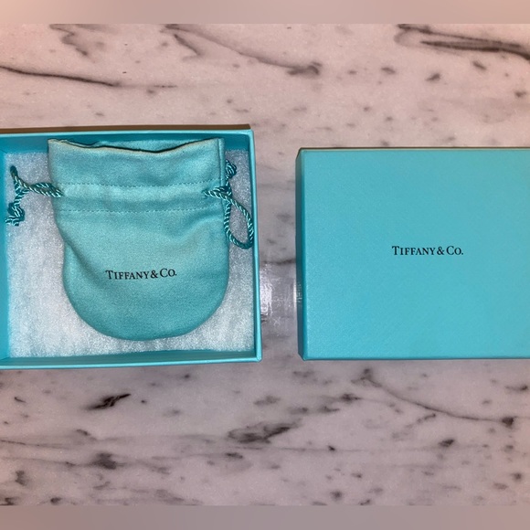 Tiffany and Co. Chocker, silver - Picture 2 of 6